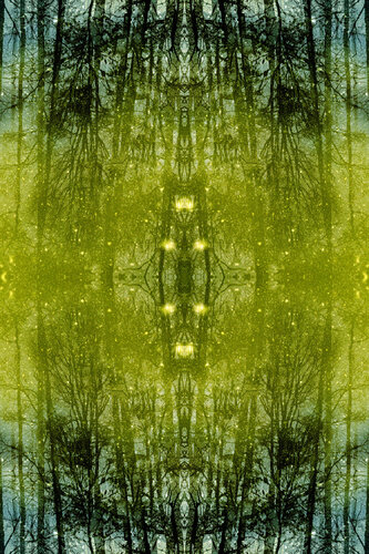 VARAHA II - V 1/3 by Nabiha & Thom Unity Art, 사진 for Sale on Singulart