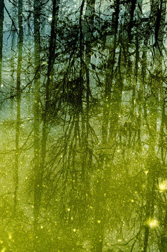 VARAHA II - IV 1/3 von Nabiha & Thom Unity Art, Fotografie kaufen auf Singulart