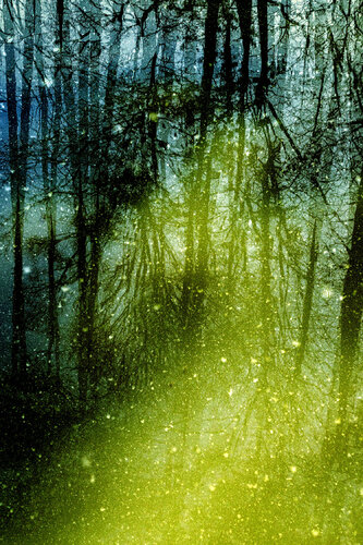 VARAHA II - II 1/3 by Nabiha & Thom Unity Art, 사진 for Sale on Singulart