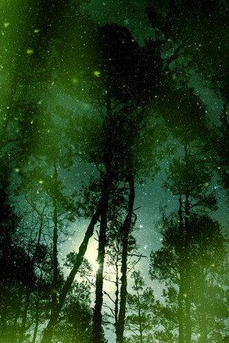 VARAHA II - I 1/3 by Nabiha & Thom Unity Art, Photography for Sale on Singulart