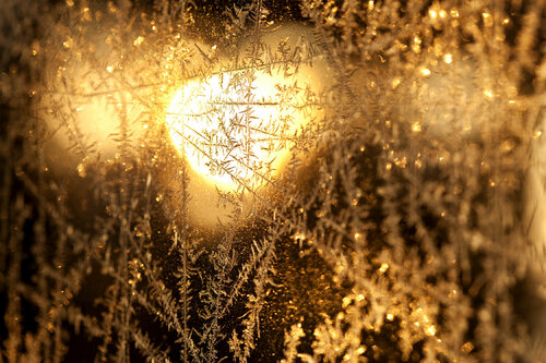 Winter Wonderland 5 van Nabiha & Thom Unity Art, Fotografie te koop op Singulart