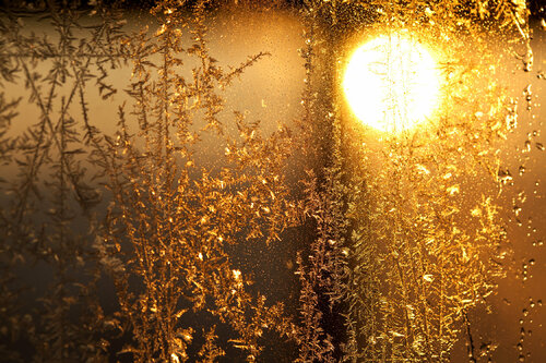 Winter Wonderland 11 by Nabiha & Thom Unity Art, 사진 for Sale on Singulart