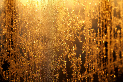 Winter Wonderland 13 Nabiha & Thom Unity Art