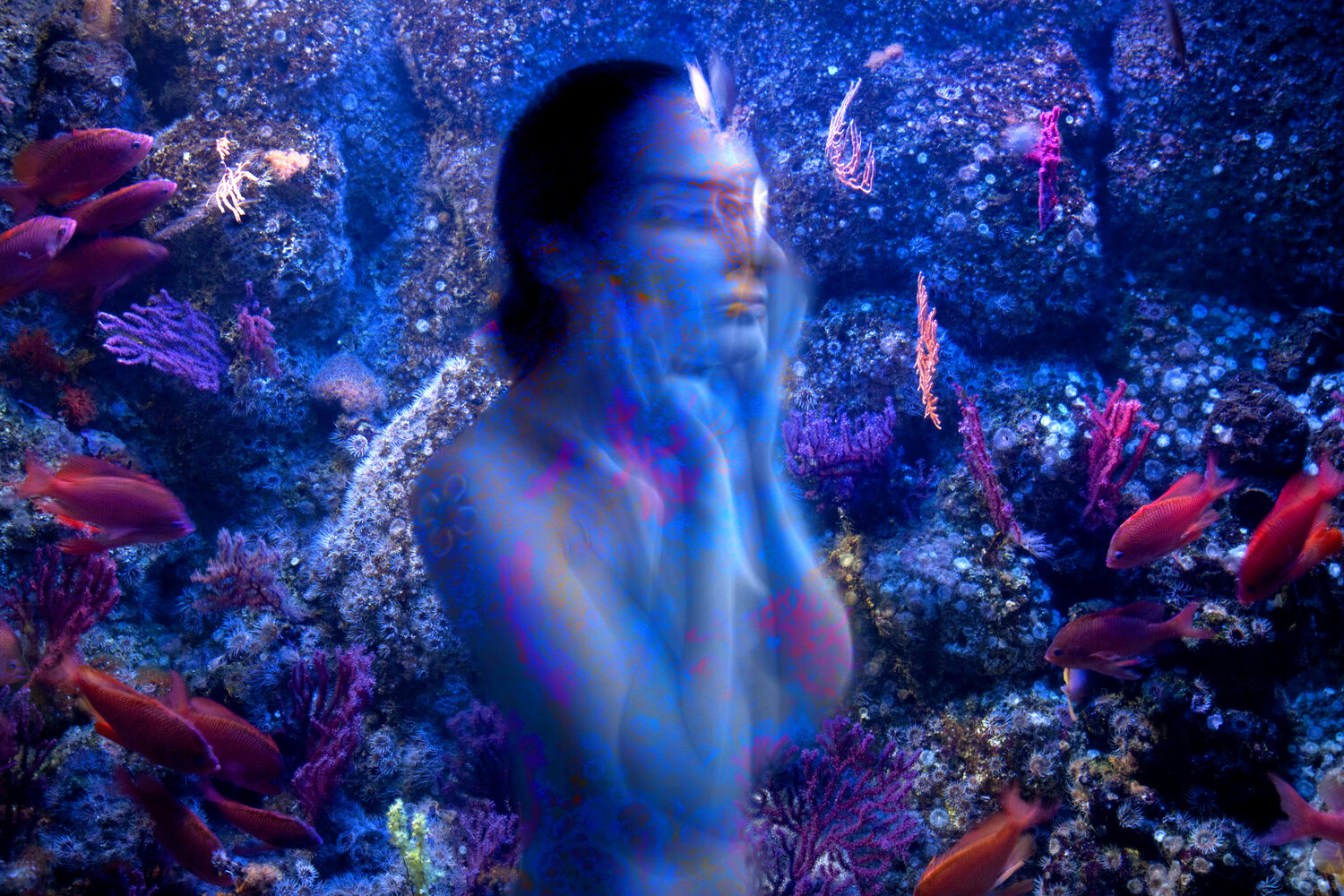 NEREID, 50 x 75 cm # 2/9 (2024) Nabiha & Thom Unity Art