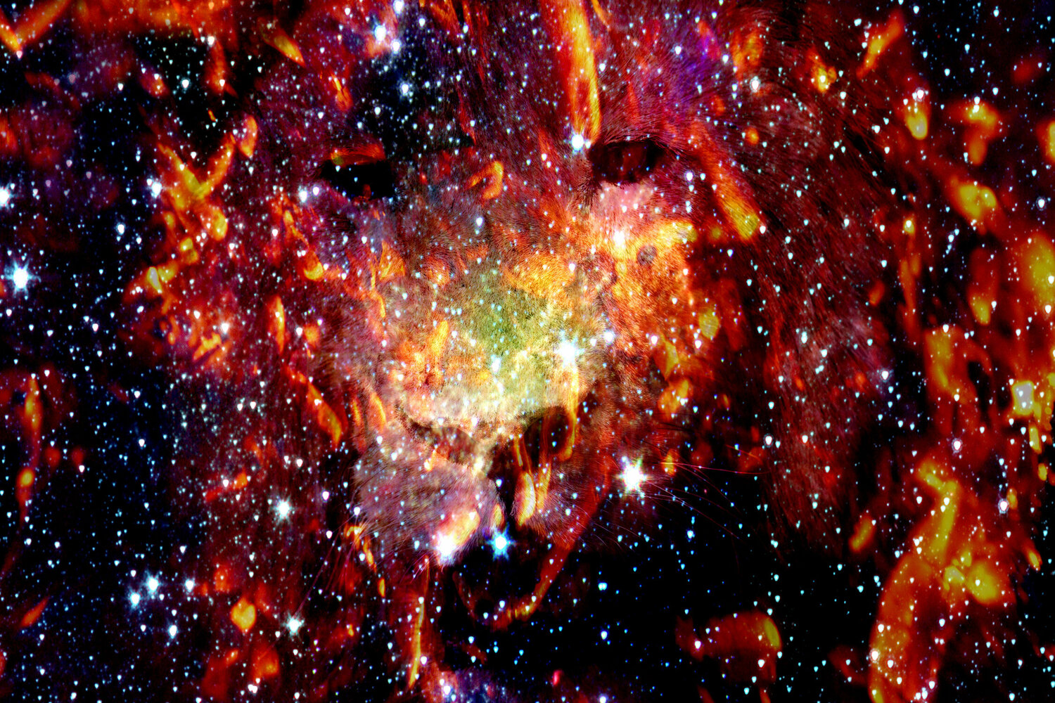 ARSLAN, 50 x 75 cm # 2/9 Nabiha & Thom Unity Art