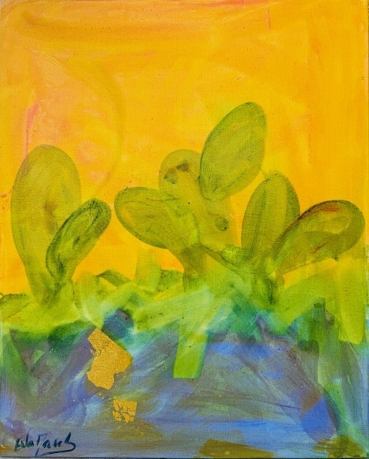 CACTUS A Eva Marc'h