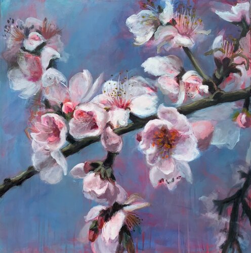 Cherry blossom Susana Infurna Buscarino