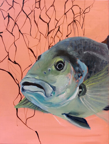 Meeresbewohner II di Susana Infurna Buscarino, Pittura in vendita su Singulart