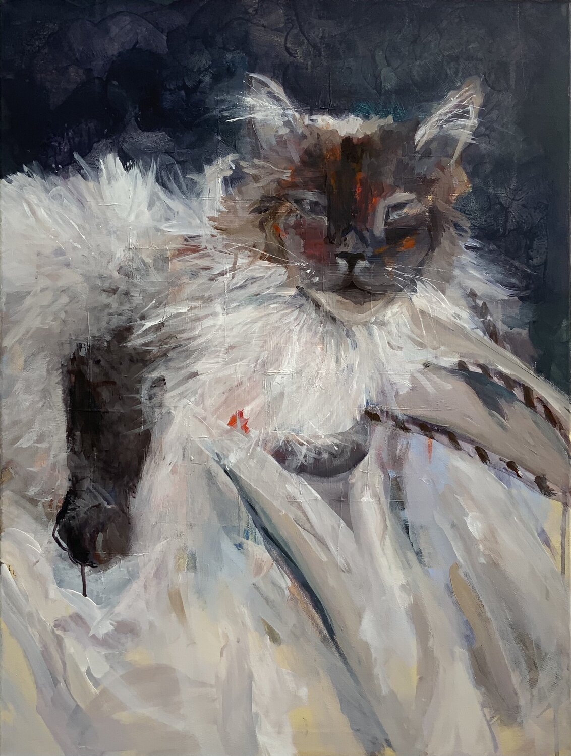 Beloved Balu Susana Infurna Buscarino