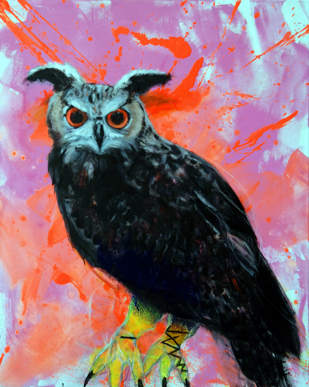 Bubo Bubo Susana Infurna Buscarino
