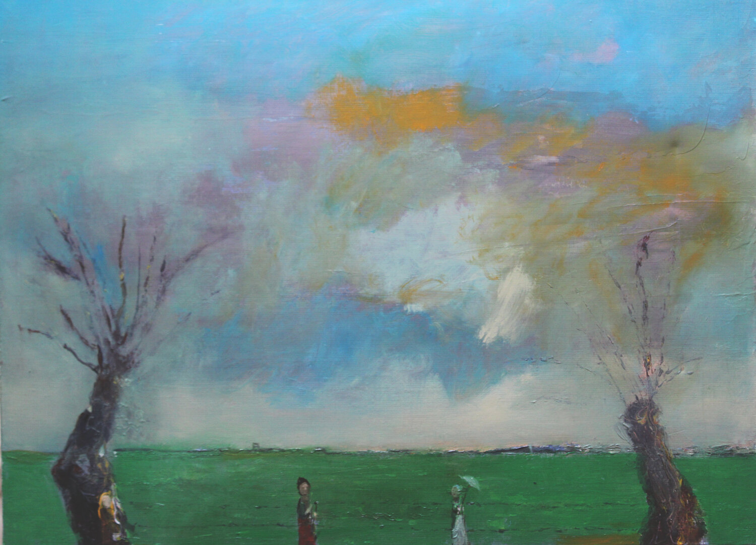 promenade dans les marais Vendéen Patrick Patrascu