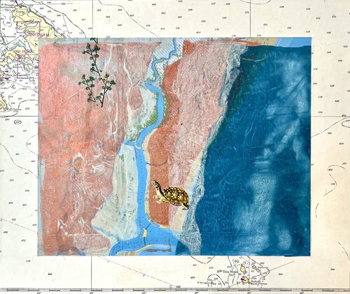 Erasmo von Karin Schäfer, Werk auf Papier kaufen auf Singulart