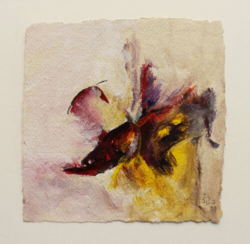 Camaret sur Mer _12.07.2021_5 Daniel Schär