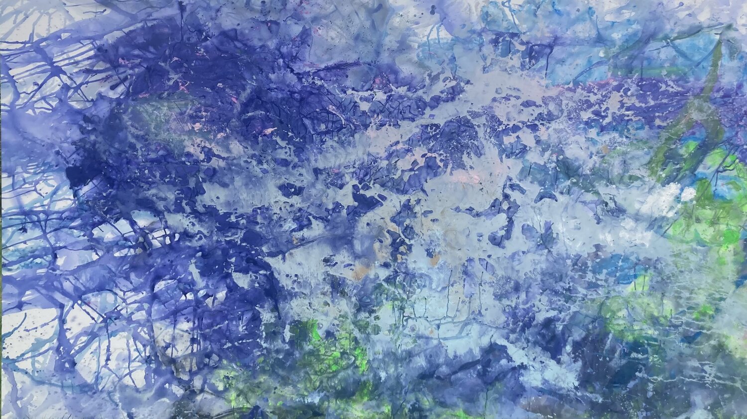 Der Sommer und das Licht Diane Kuster