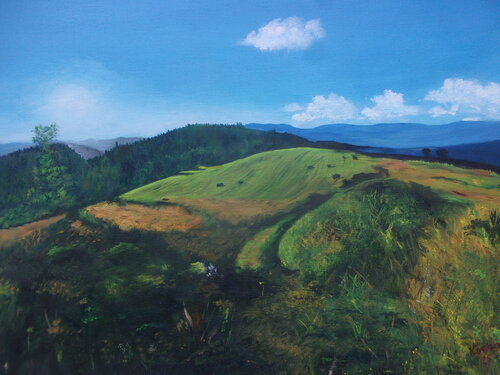 Meadow on slovak countryside di Dušan Kochan, Pittura in vendita su Singulart