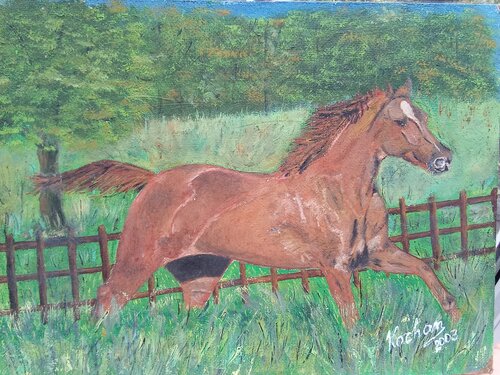 Kôň by Dušan Kochan, Painting for Sale on Singulart