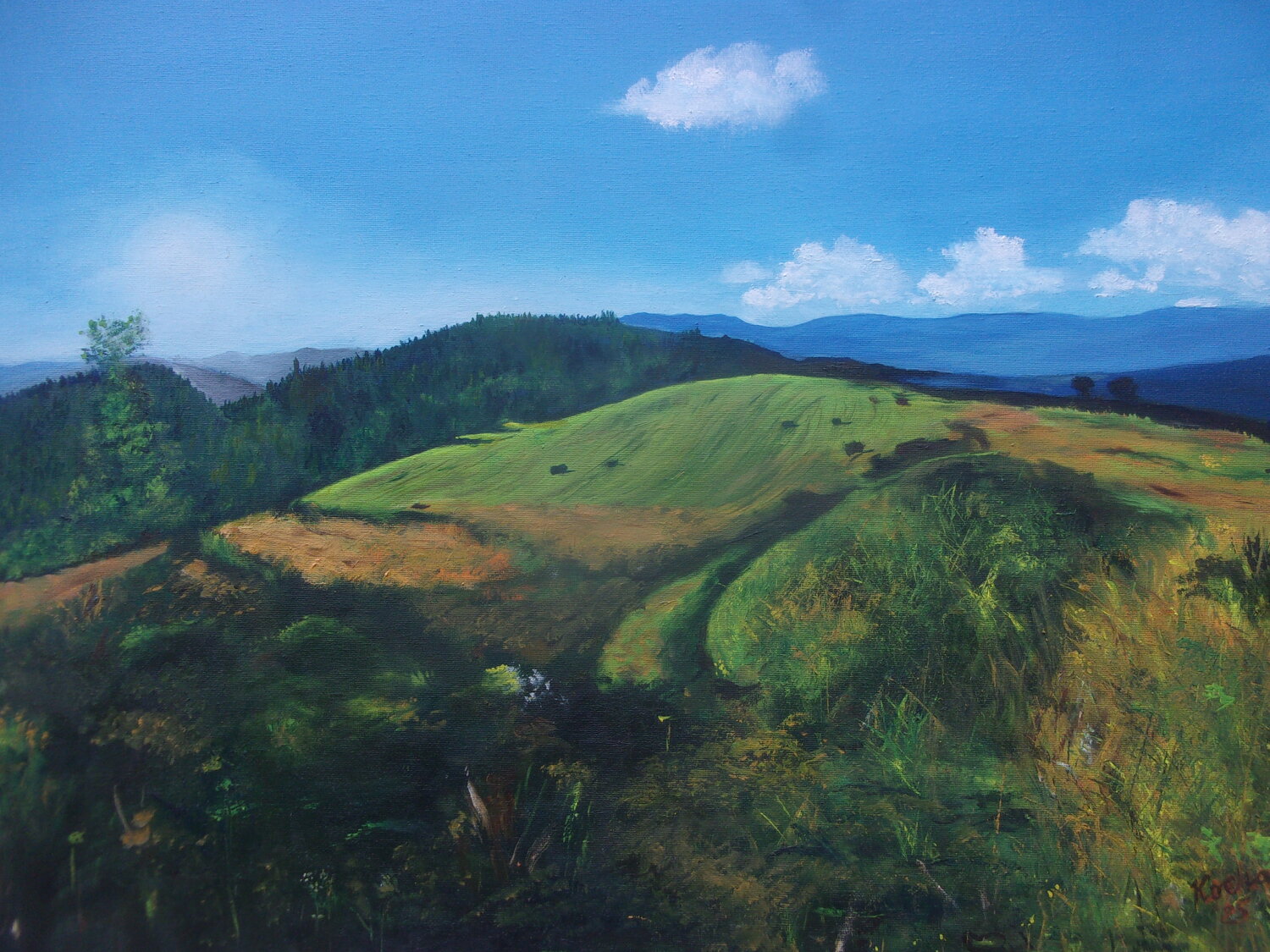 Meadow on slovak countryside Dušan Kochan