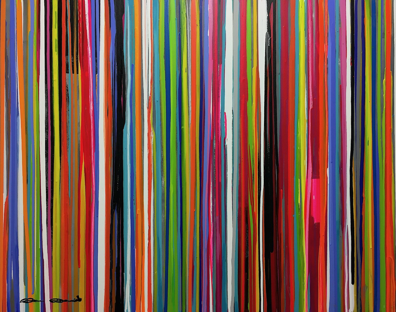 All colors Dam Domido