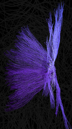 Deuxième Radis von Christine Vannier, Andere Medien kaufen auf Singulart