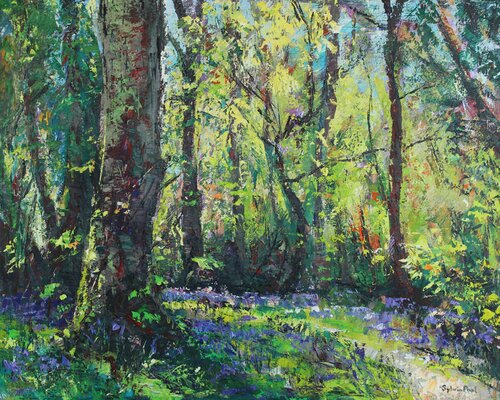 Wandering Woodland Path di Sylvia Paul, Pittura in vendita su Singulart