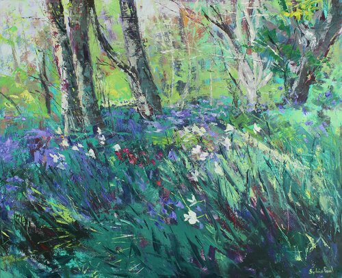 Woodland Garden in Spring Sylvia Paul
