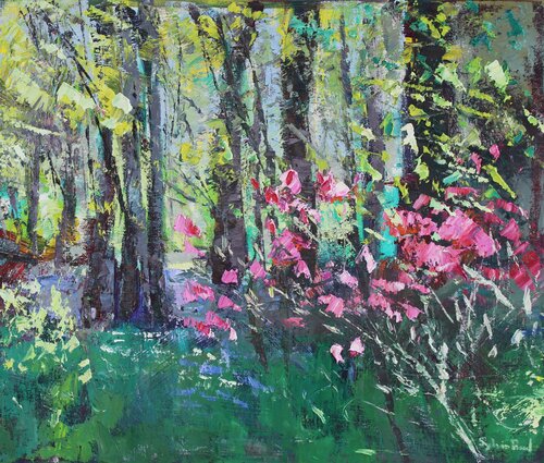 Woods in Spring van Sylvia Paul, Schilderij te koop op Singulart