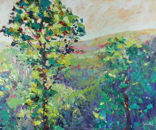 Welsh Valley di Sylvia Paul, Pittura in vendita su Singulart