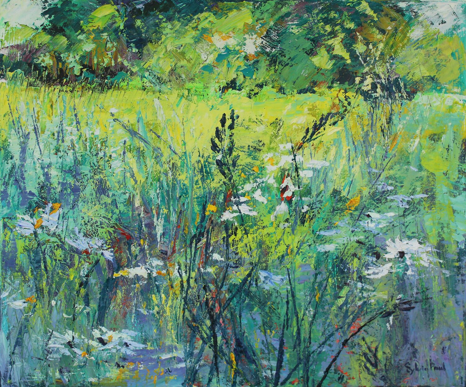Daisy Field Sylvia Paul