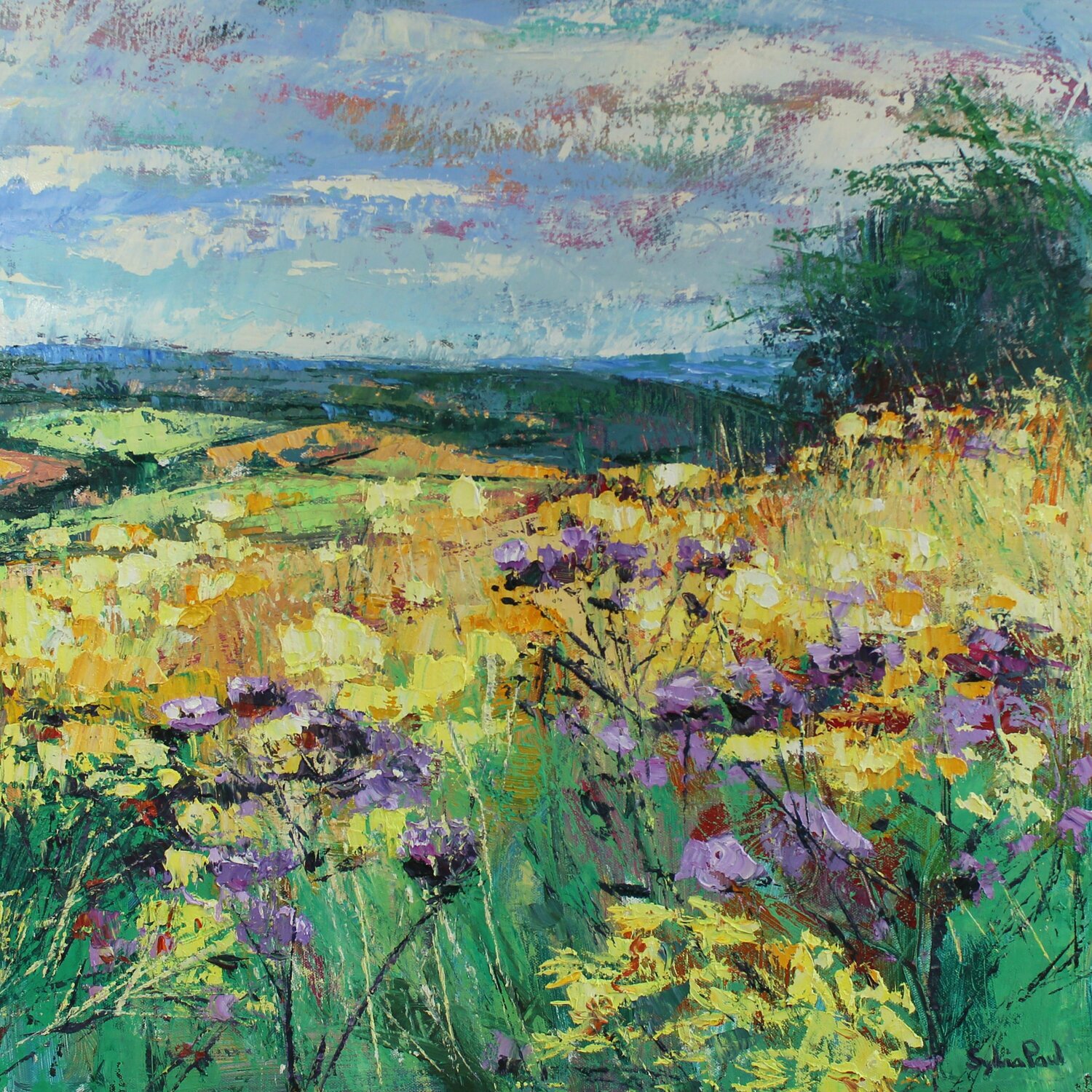 Wild Flowers in Loxley Valley Sylvia Paul