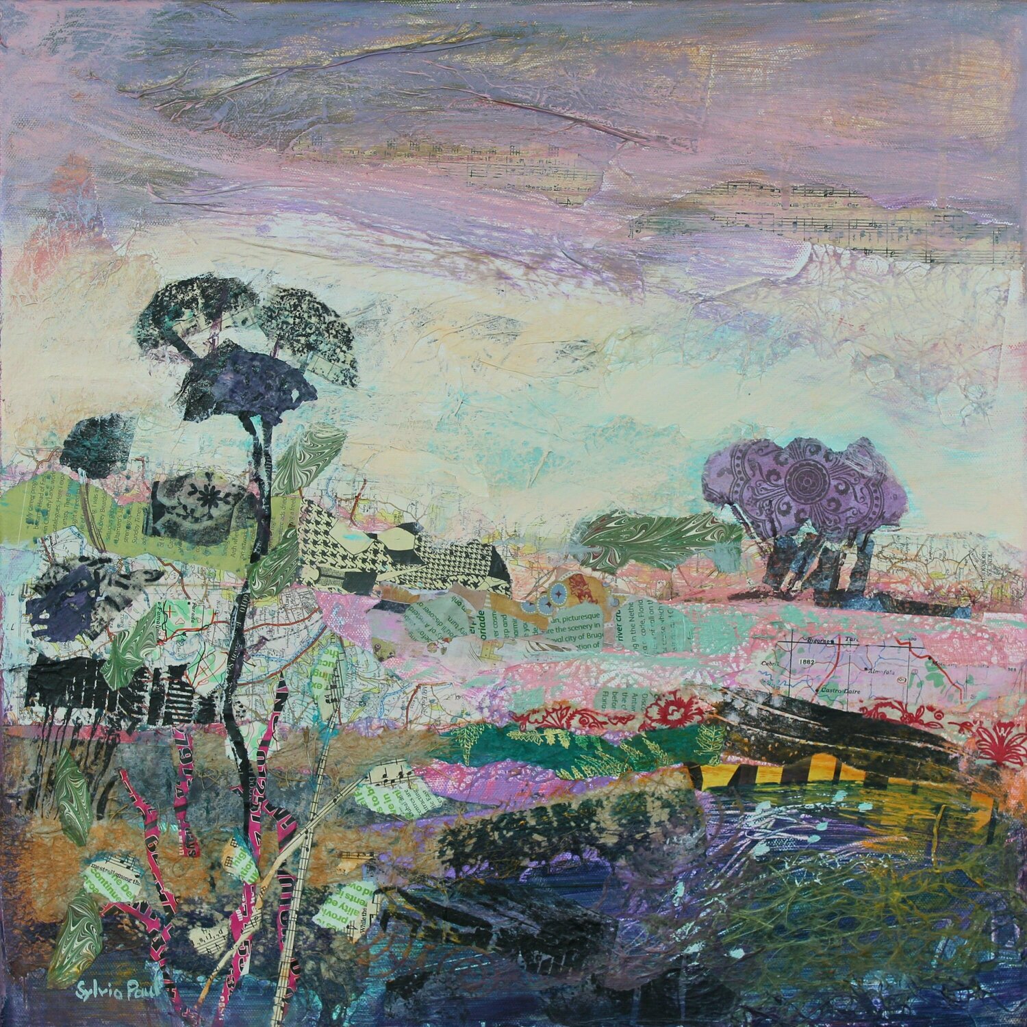 Late Summer Light Sylvia Paul
