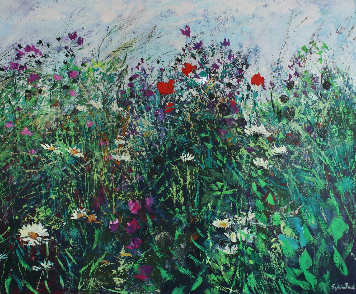Wild Meadow Sylvia Paul