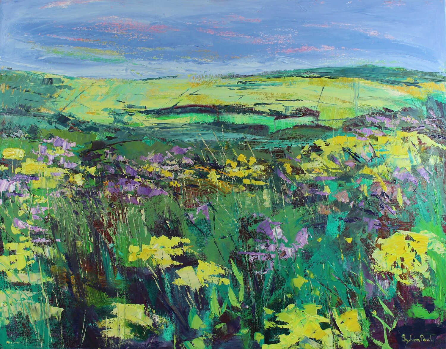 Sunlit Hillside Sylvia Paul