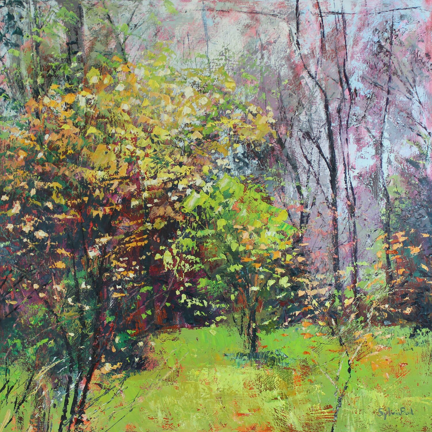 Spring Sparkle Sylvia Paul