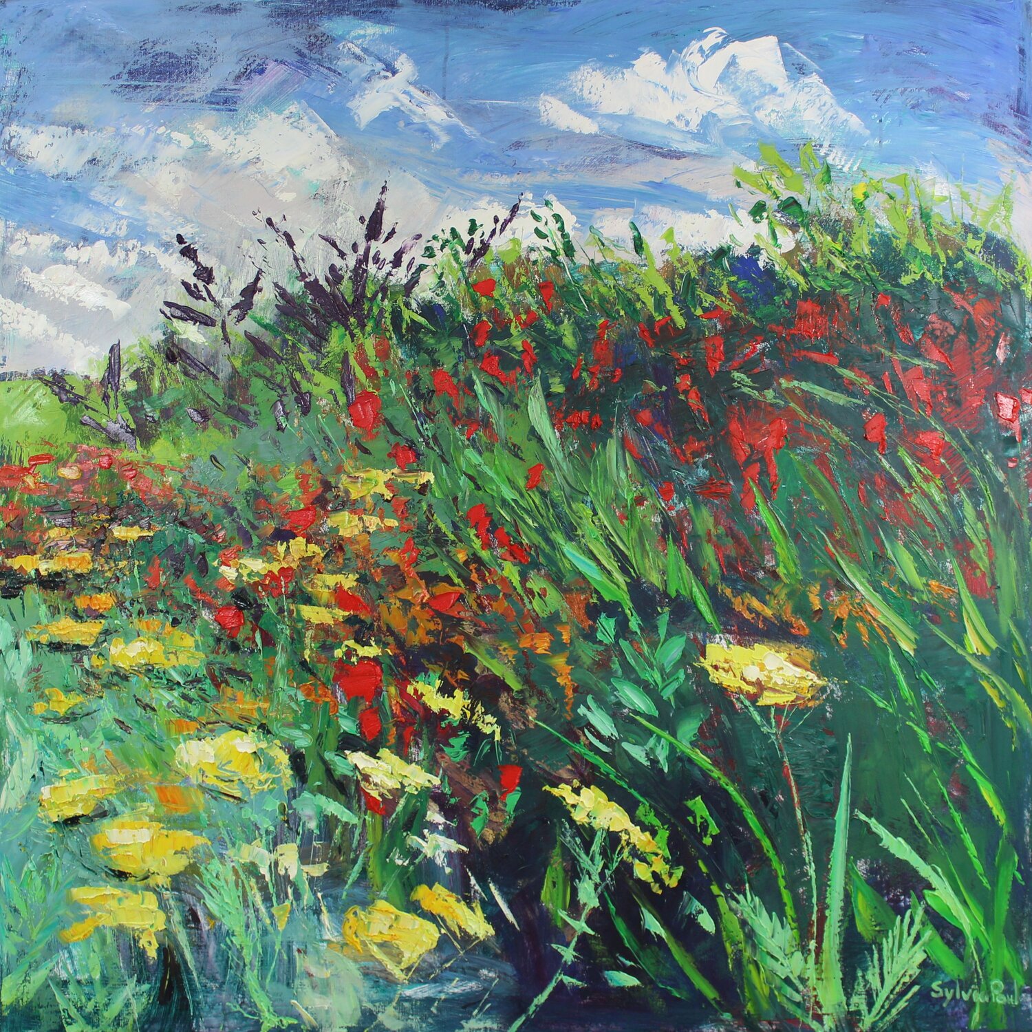 Border in Late Summer Sylvia Paul