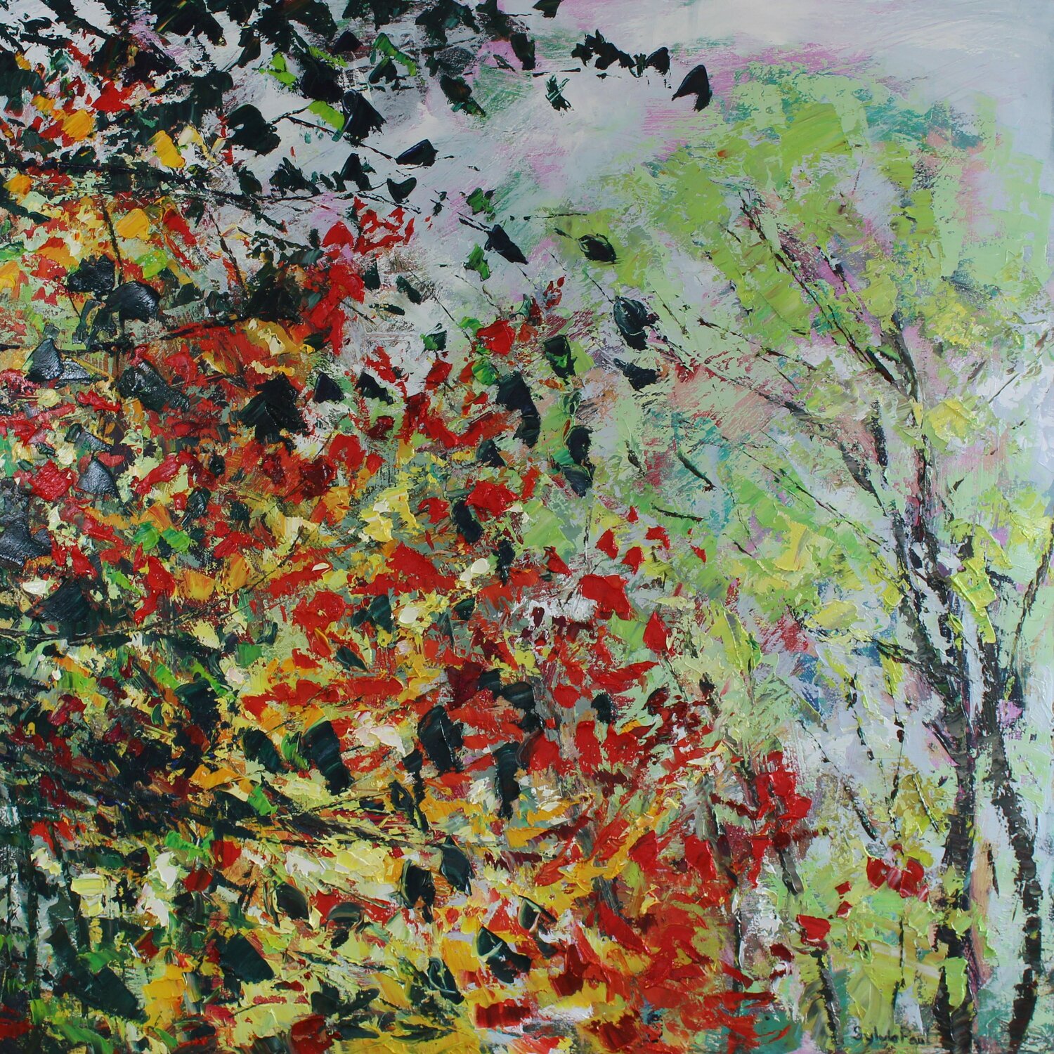 Contrasts of Autumn Sylvia Paul