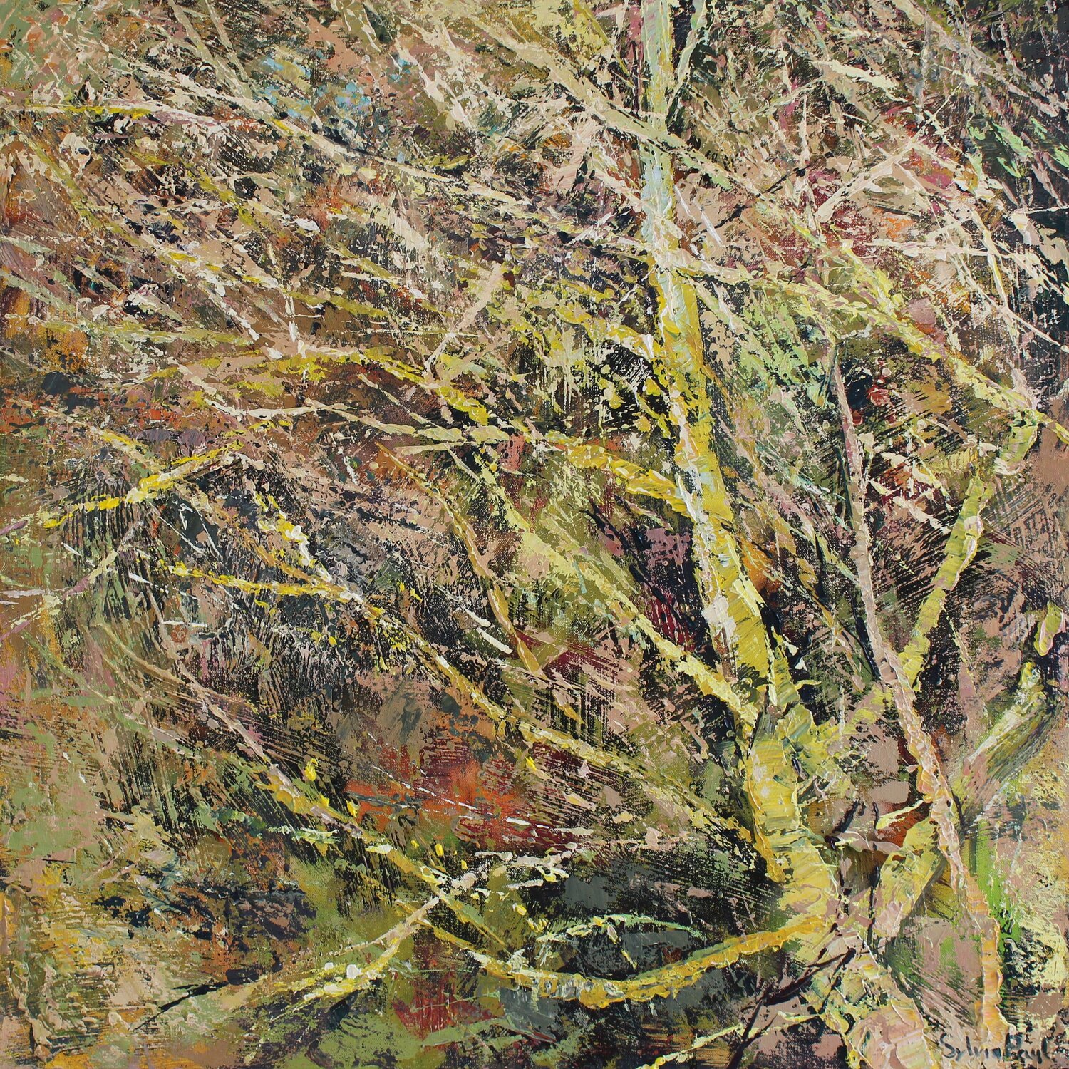 Entwined Sylvia Paul