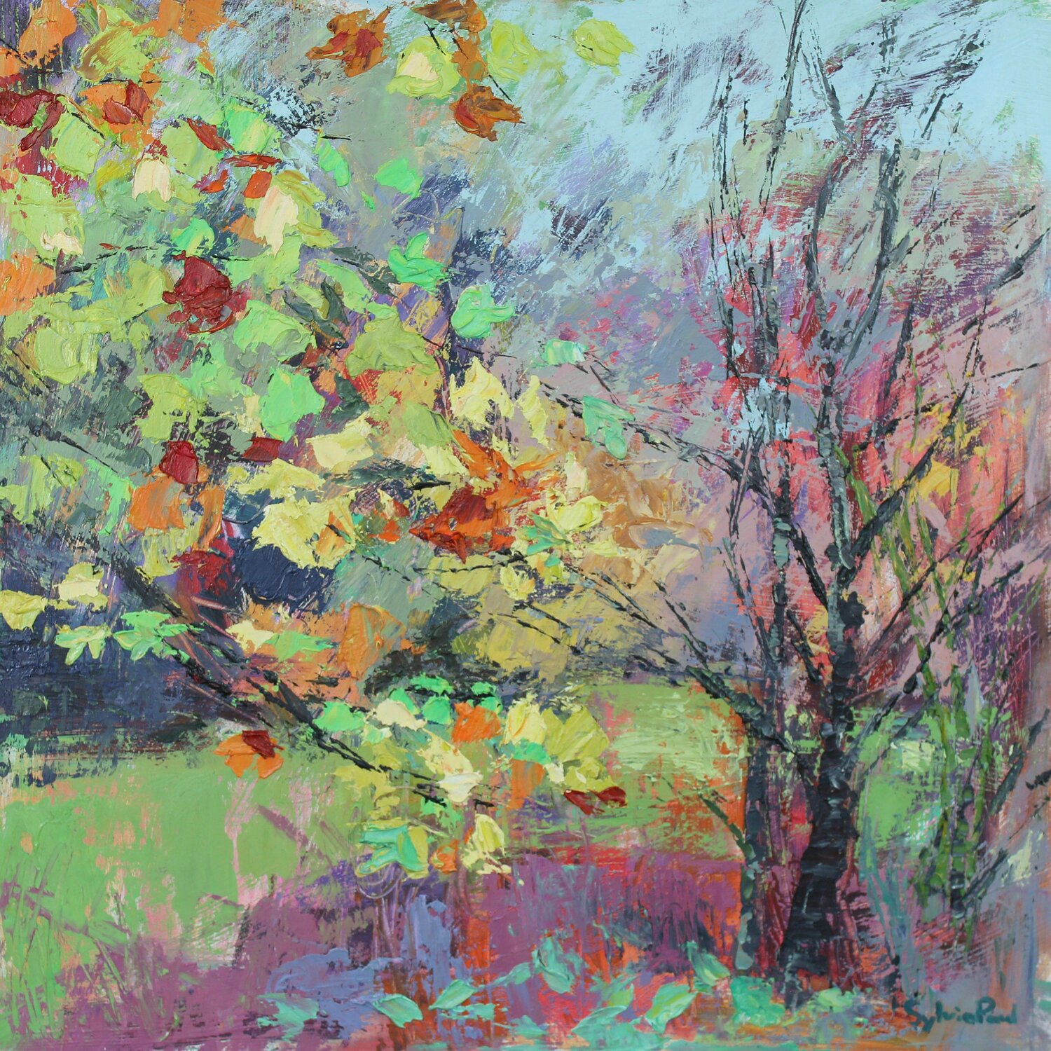 Soft Autumn Light Sylvia Paul