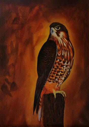 Maorifalke di Steffi Rodigas, Pittura in vendita su Singulart