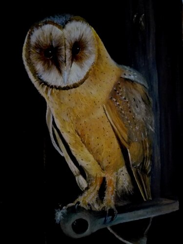 Owl in Oil di Steffi Rodigas, Pittura in vendita su Singulart