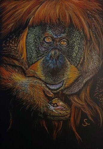 Friend! de Steffi Rodigas, Pintura a la venta en Singulart