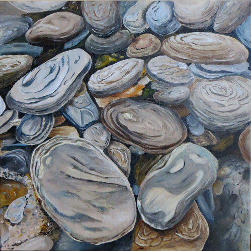 Steine am Kawarau River van Steffi Rodigas, Schilderij te koop op Singulart