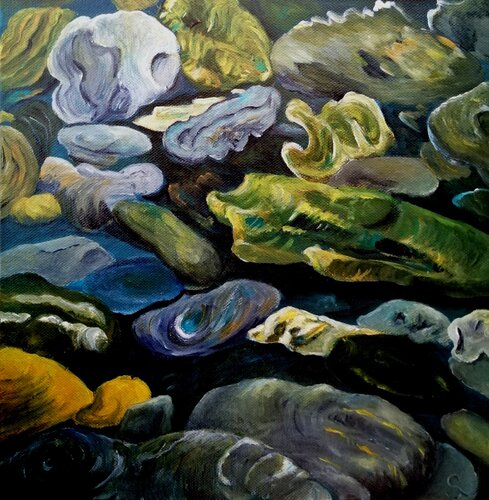 Steine am Haast River van Steffi Rodigas, Schilderij te koop op Singulart