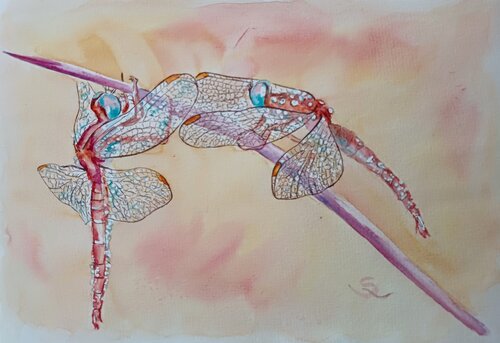 Libellenliebe by Steffi Rodigas, Work on Paper for Sale on Singulart