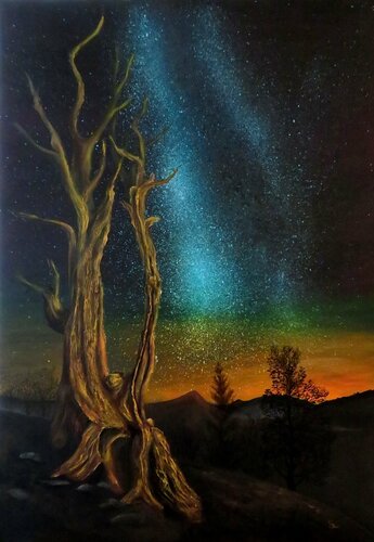 Sternenhimmel di Steffi Rodigas, Pittura in vendita su Singulart