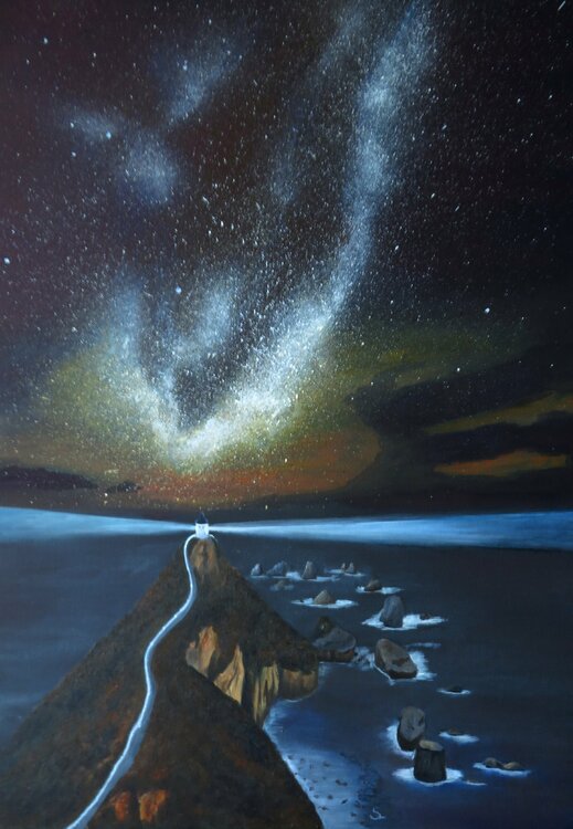 Milkyway am Nugget Point Steffi Rodigas