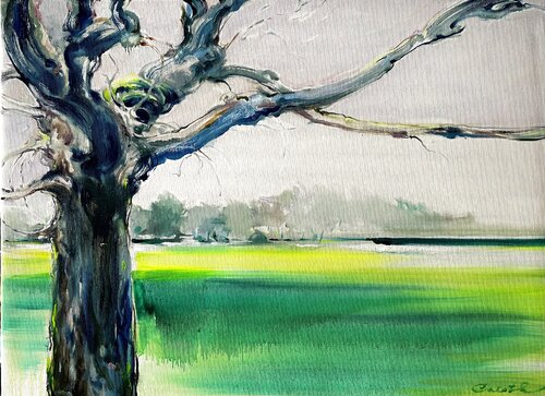 The Spring  Colors of life   Waiting of spring    Park in England  Green field  New life   Green and whit  England series di Olga Soloviova, Pittura in vendita su Singulart