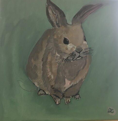 Le lapin Aliénor de Cellès