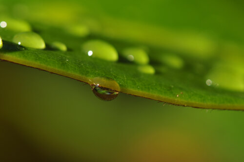 © CURV 0264 von Richard Martin, Fotografie kaufen auf Singulart