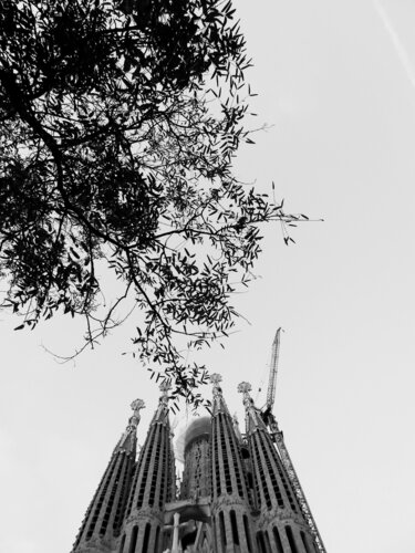 © CURV 0659 di Richard Martin, Fotografia in vendita su Singulart