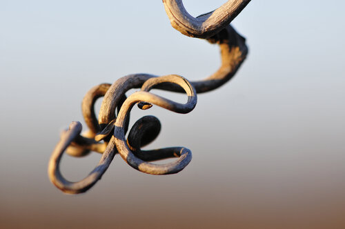 © CURV 0708 di Richard Martin, Fotografia in vendita su Singulart